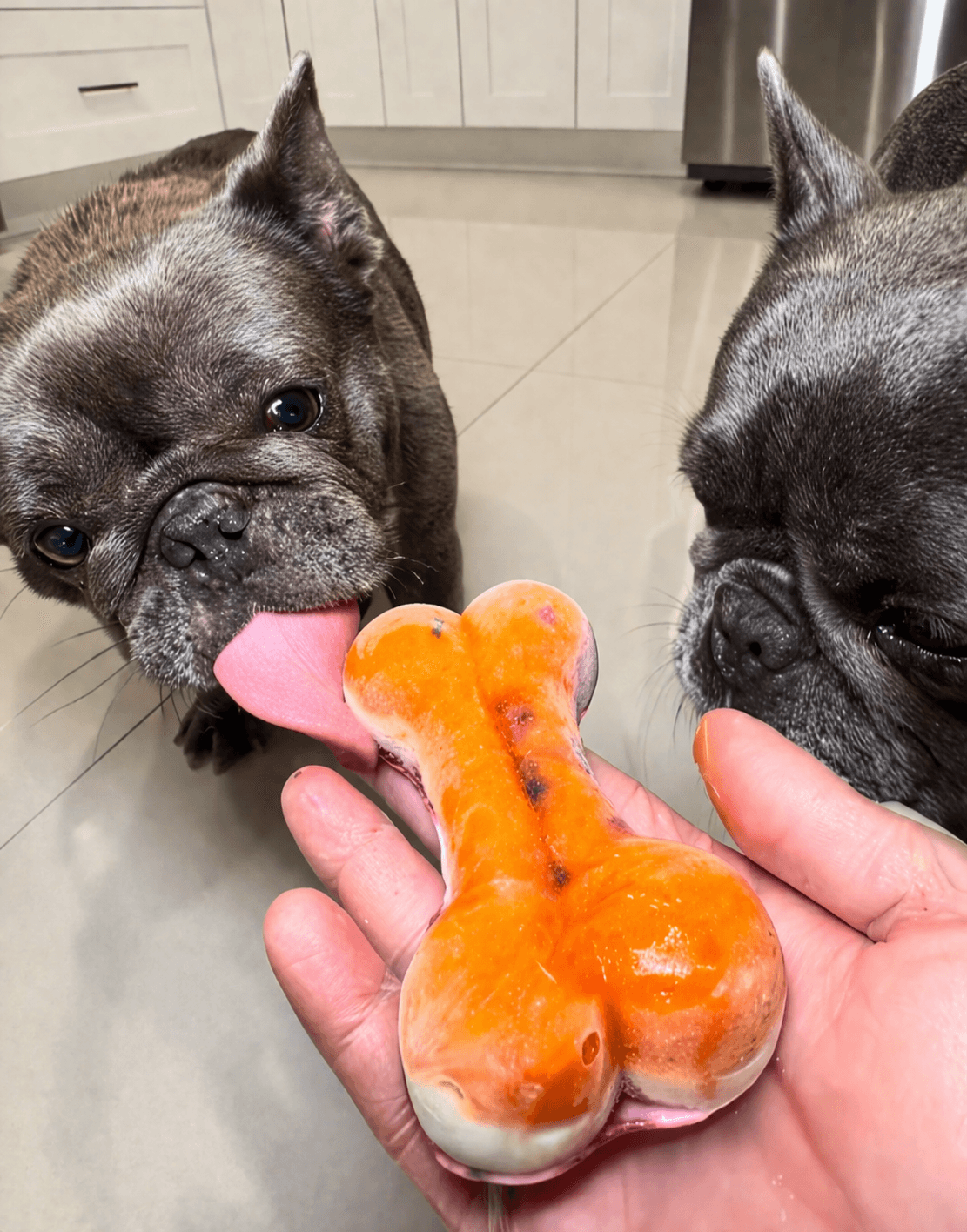 Frozen layered bone treat