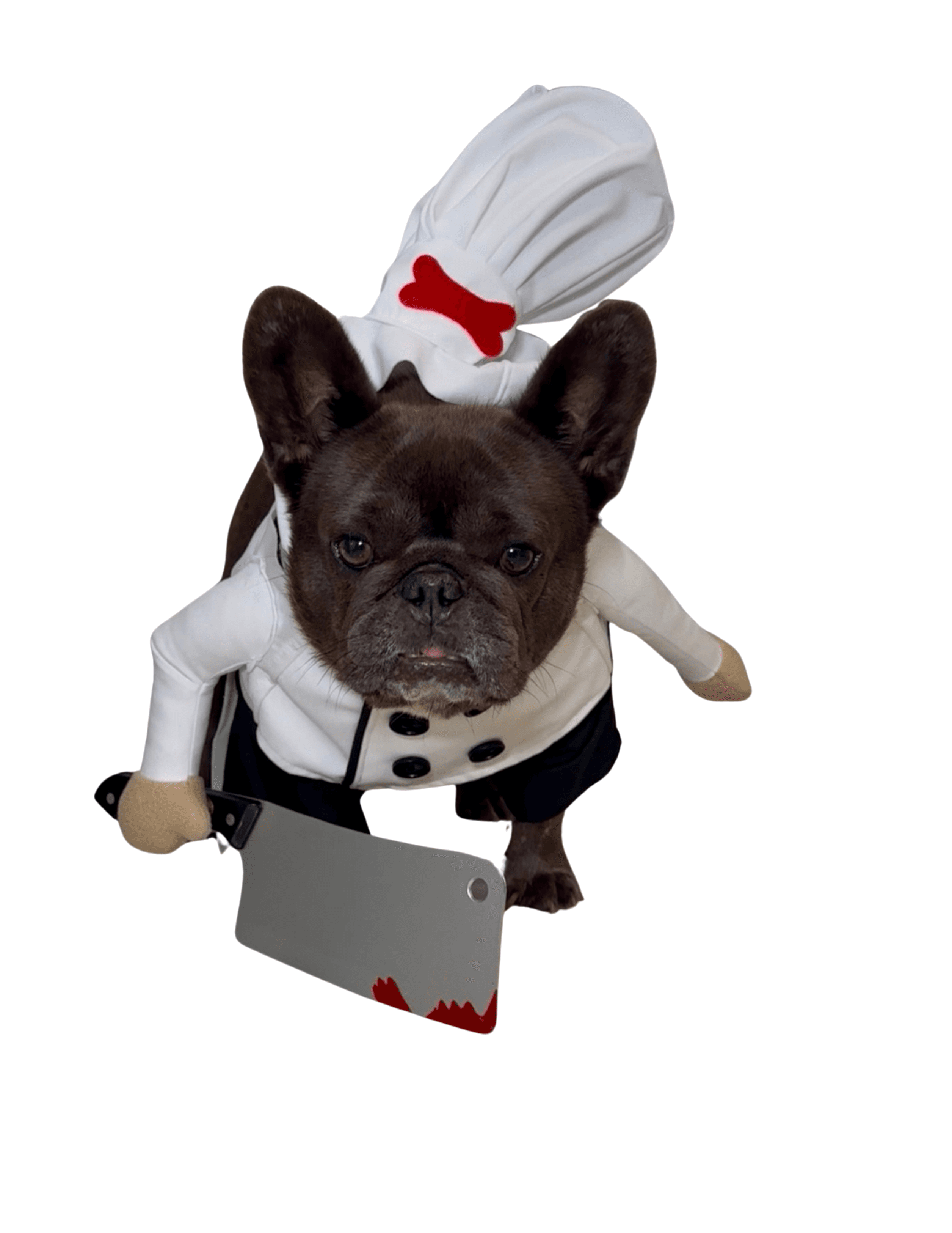 Chef Stitch bonus notes