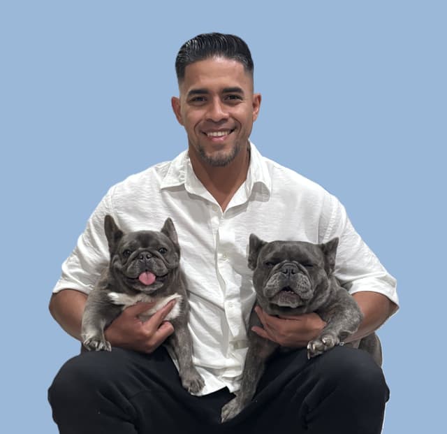 Lola, Stitch and JD — the crew