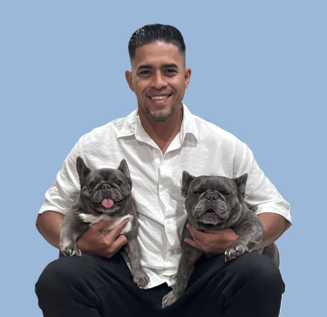 Lola, Stitch and JD — the crew